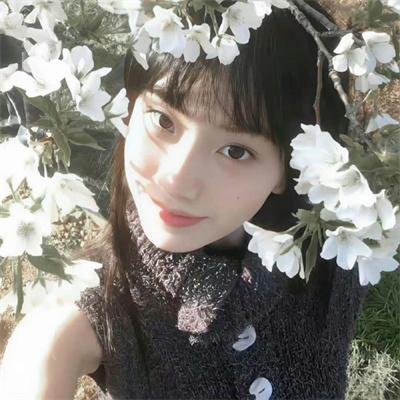 螳螂捕蝉
