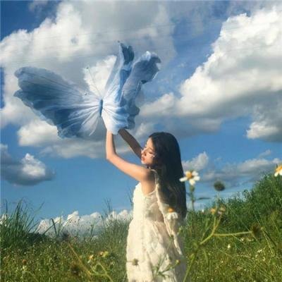 海豚之日